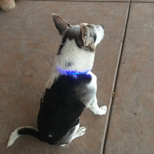 LED Reflective Safety Dog Collar With Three Light Options