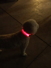 LED Reflective Safety Dog Collar With Three Light Options